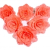 Róża chińska łososiowa 18szt. Średnica róży:5,5cm